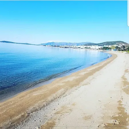 Avsa * Μπαλικεσίρ